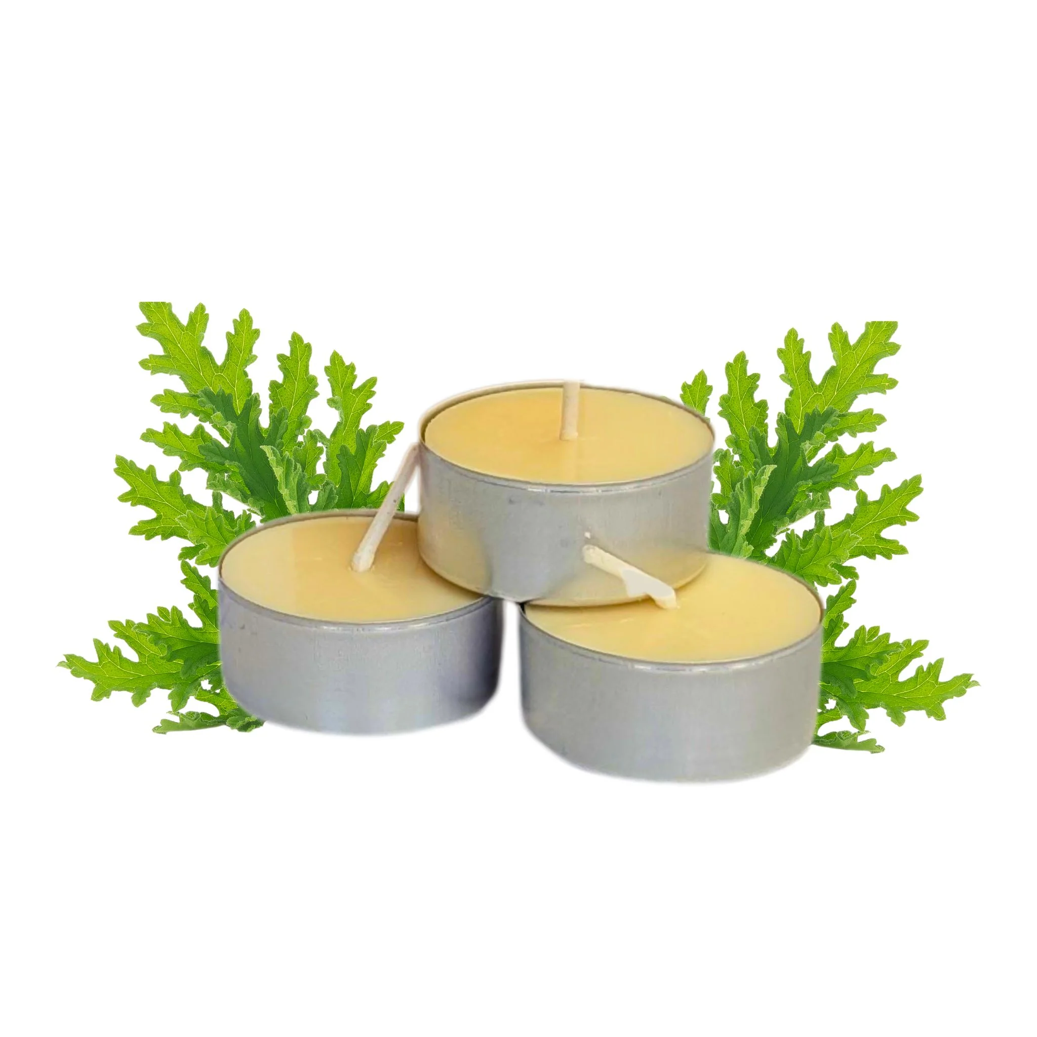 Plant-Based Scented Candles & Melts